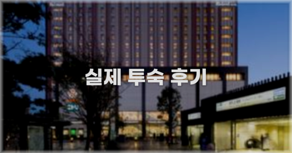 💬 실제 투숙 후기