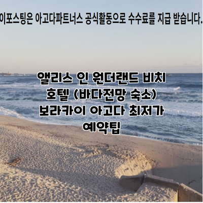 앨리스 인 원더랜드 비치 호텔 (바다전망 숙소) 보라카이 아고다 최저가 예약팁