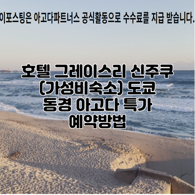 호텔 그레이스리 신주쿠 (가성비숙소) 도쿄 동경 아고다 특가 예약방법