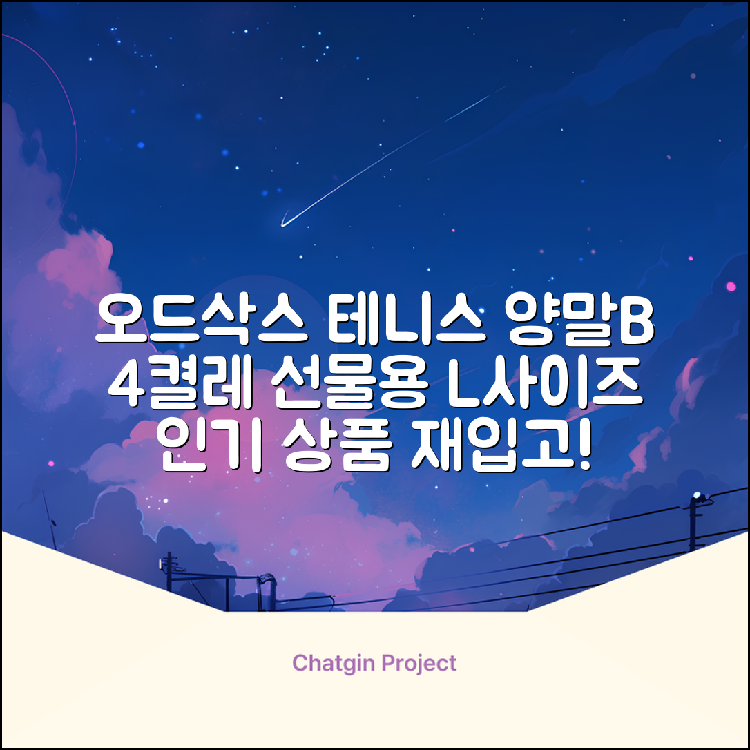 [오드삭스] 테니스 양말 세트B 4켤레 선물용, L(255mm-275mm), 1개 추천 리뷰