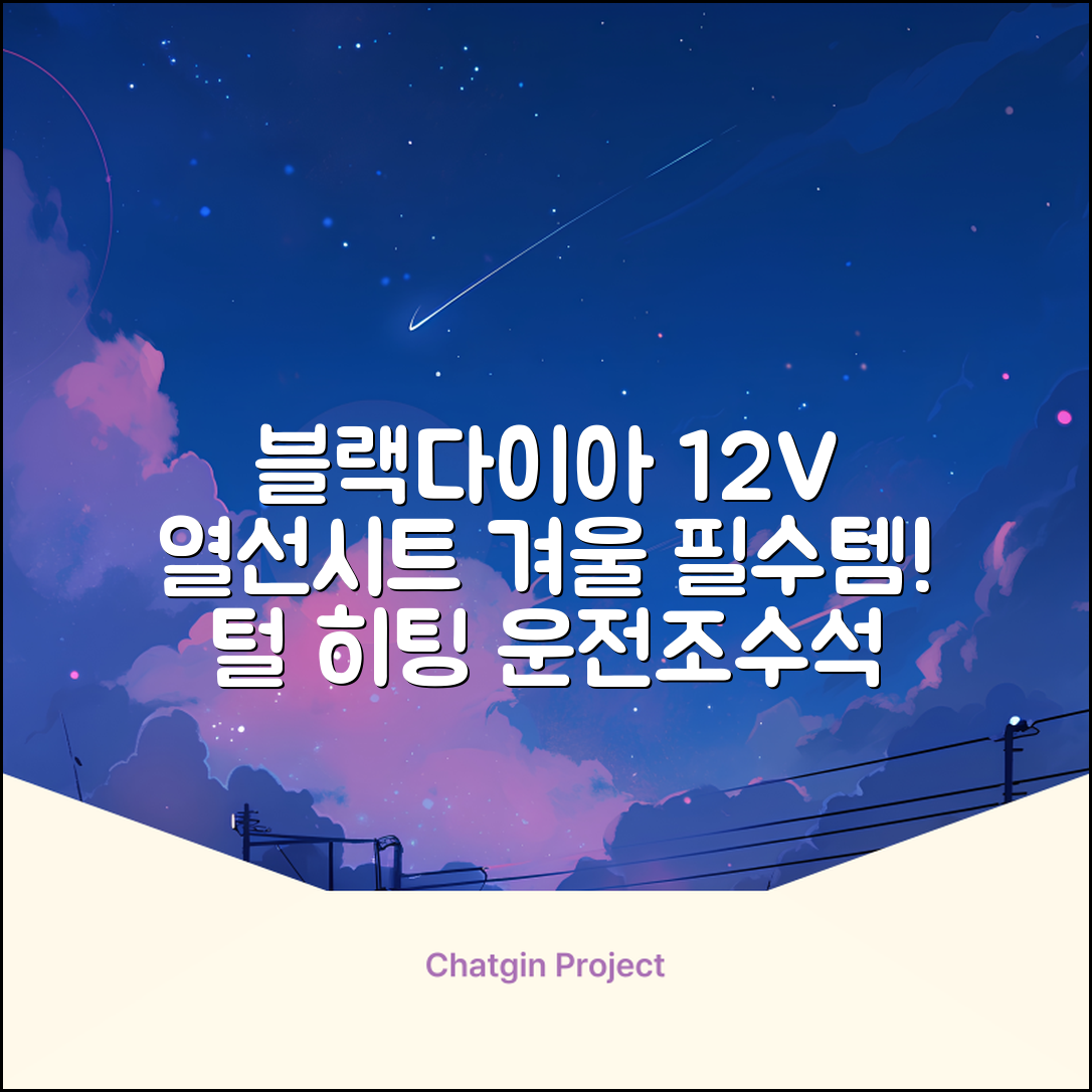 블랙다이아 차량용 열선시트 (1P) 털 겨울 히팅 전기시트, 1개, 12V (운전/조수석) 추천 리뷰