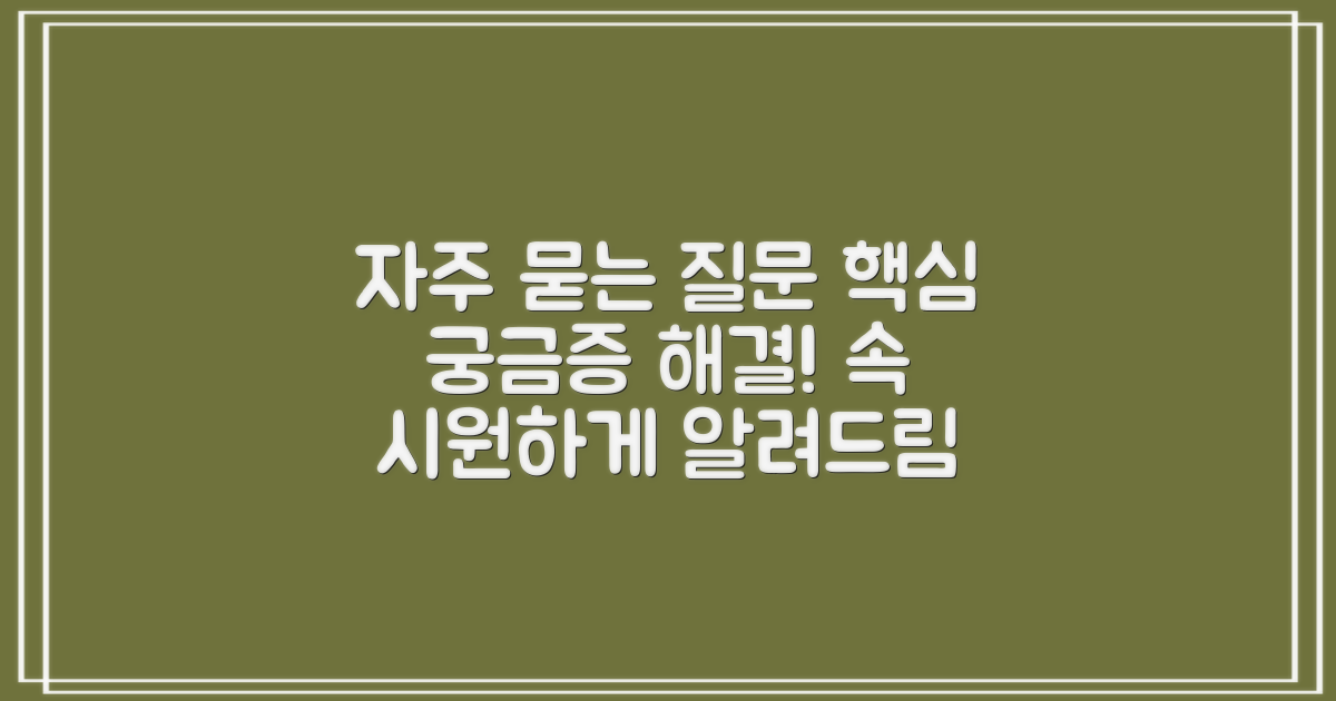 자주 묻는 질문