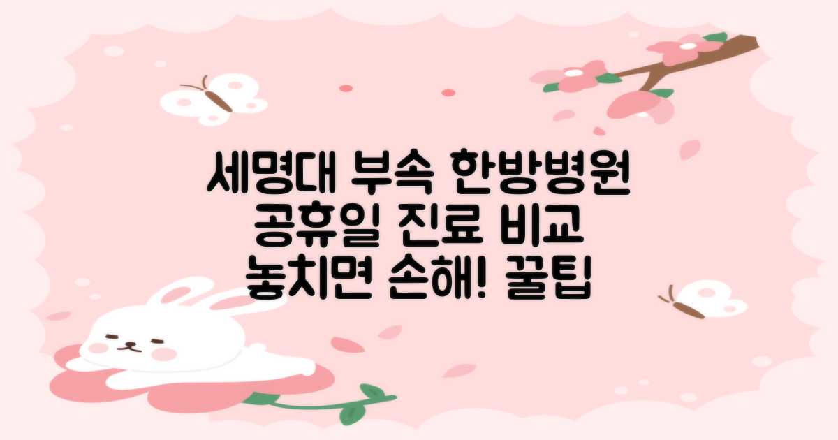 2가지 공휴일 진료 정보 비교: 세명대 부속 한방병원