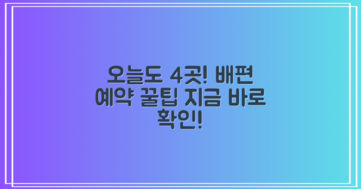 금일도 4곳 배편 예약 방법